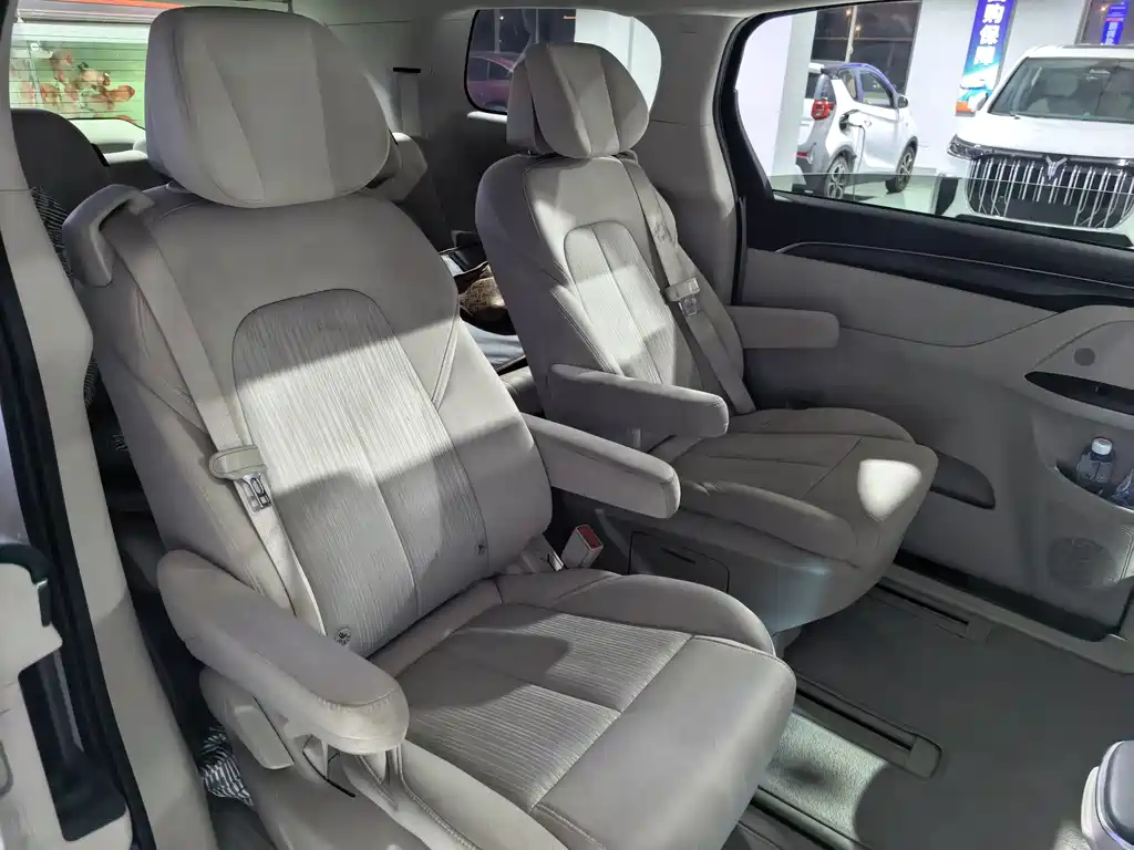 Buick GL8 — миниатюра 16