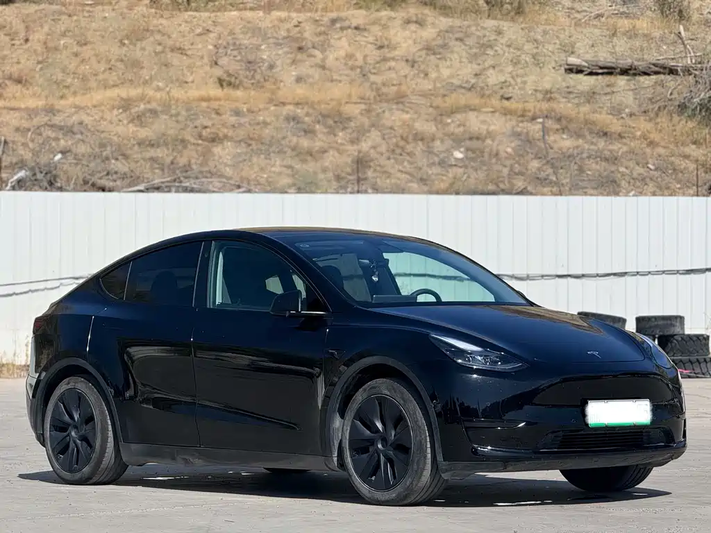 Tesla Model Y — миниатюра 3