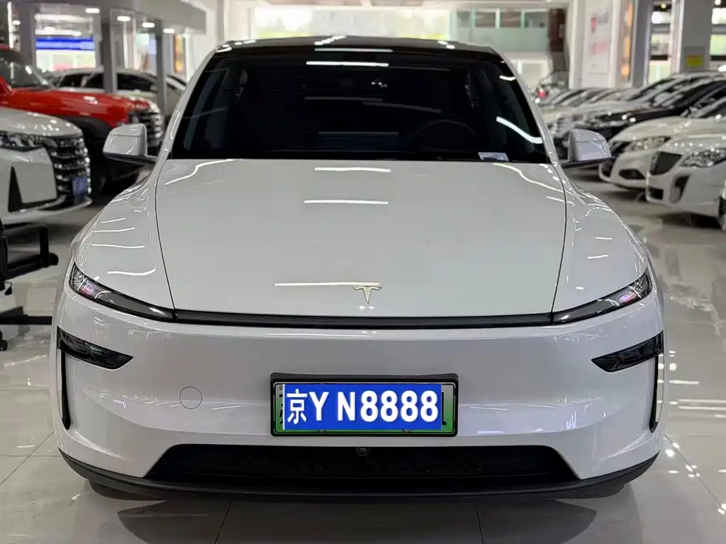 Tesla Model Y — миниатюра 2