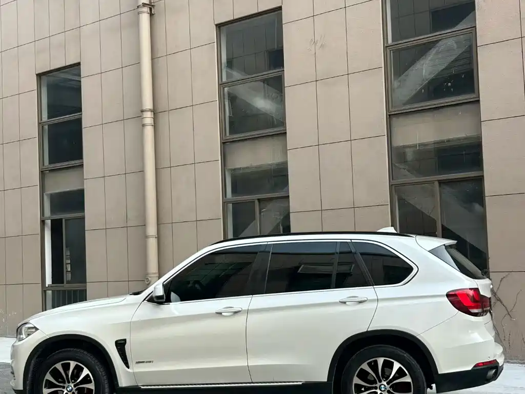 BMW X5 2014 xDrive35i Lead
