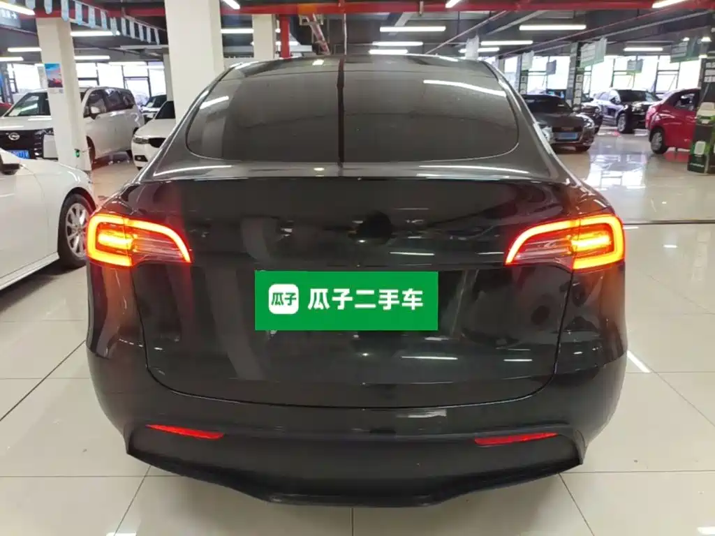 Tesla Model Y — миниатюра 6