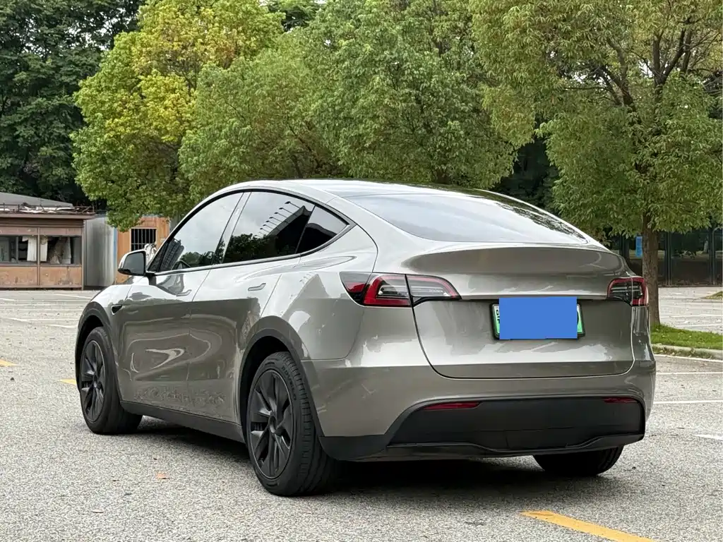 Tesla Model Y — миниатюра 6
