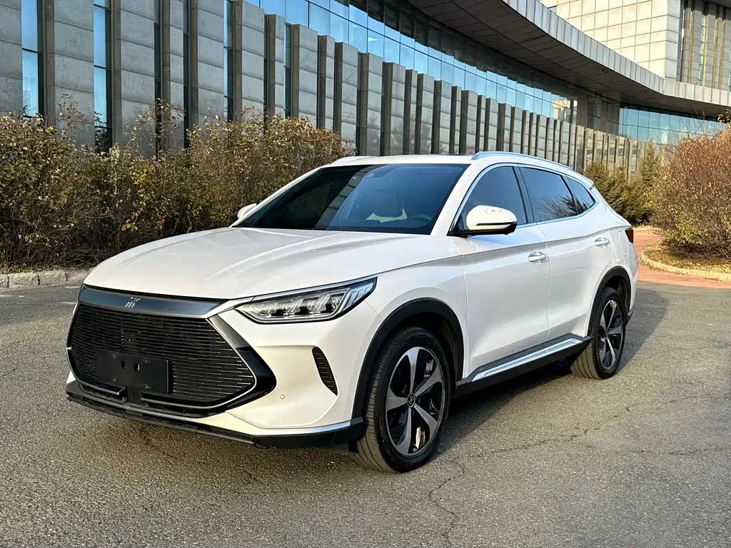 BYD SONGJIANG NEW ENERGY