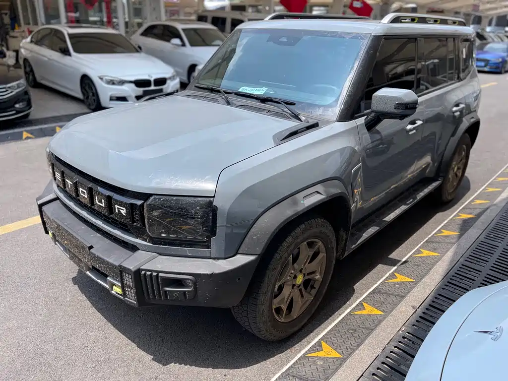Купить Jetour Traveller