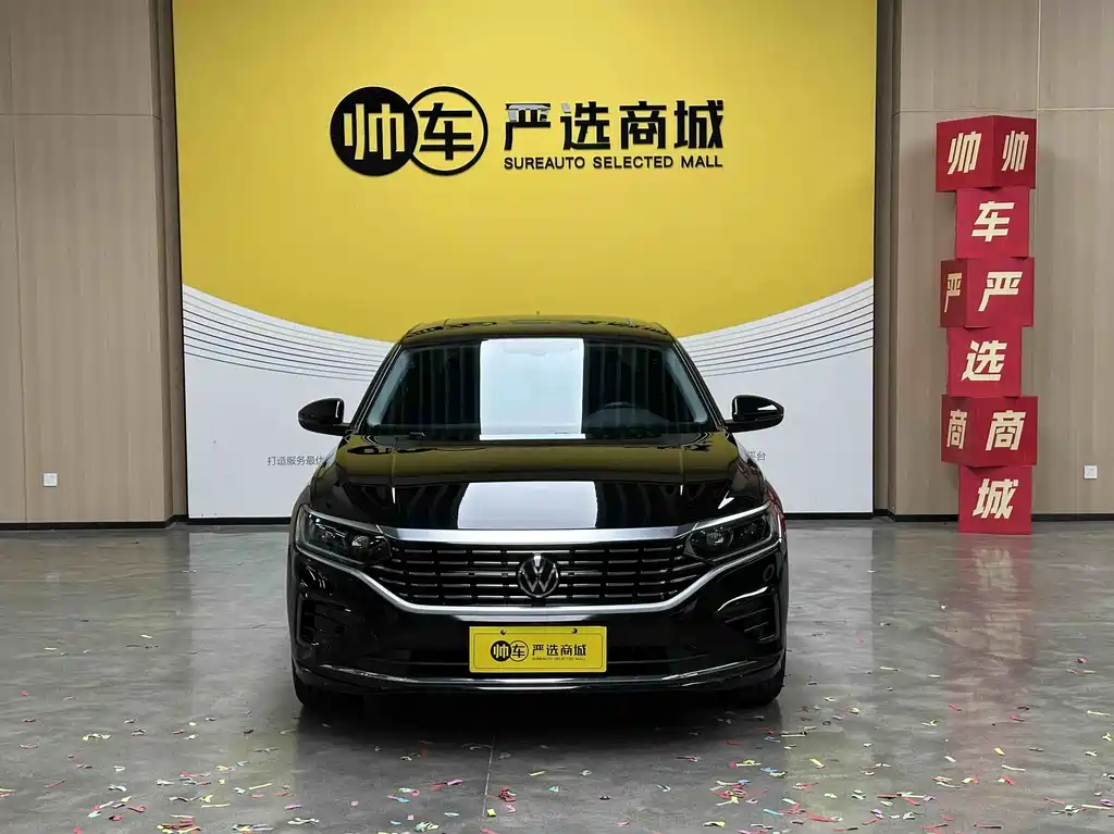 Volkswagen Passat — миниатюра 2