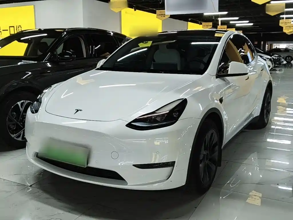 Tesla Model Y — миниатюра 2