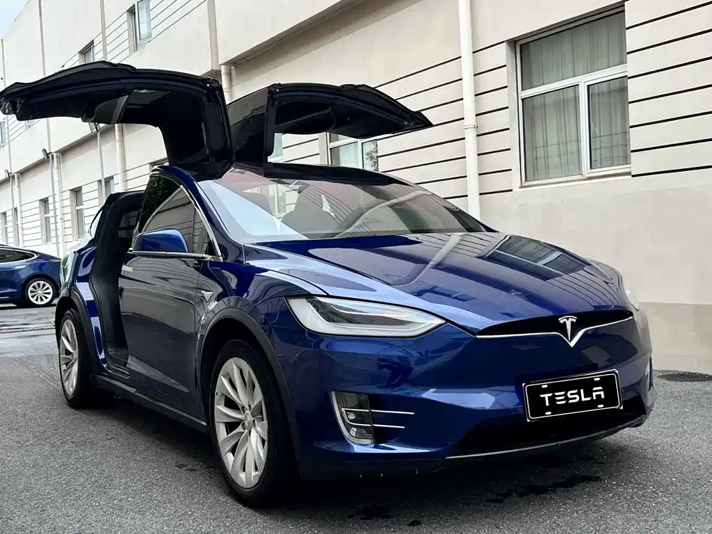 Tesla Model X — миниатюра 7