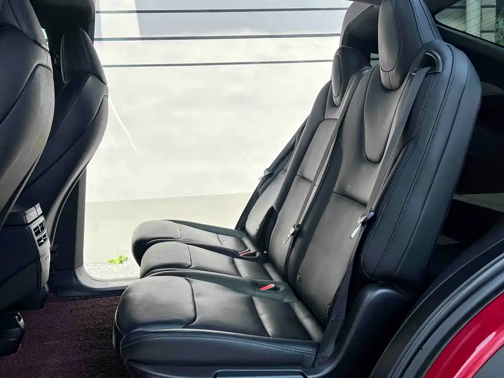 Tesla Model X — миниатюра 11