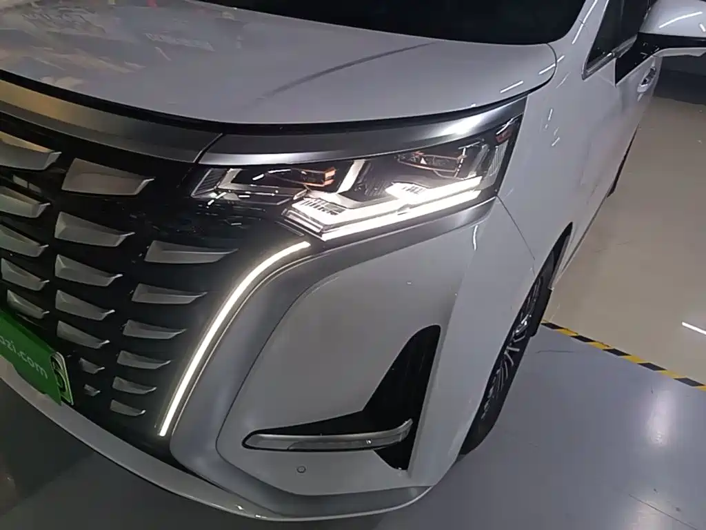 Denza Denza D9 — миниатюра 24