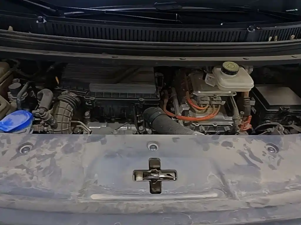 Denza Denza D9 — миниатюра 20