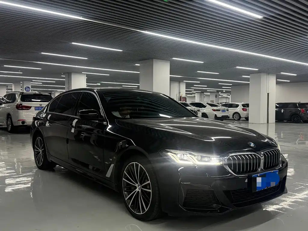 BMW 5 Series — миниатюра 2