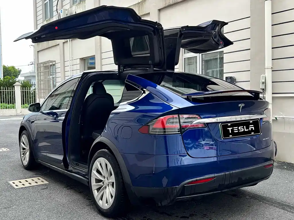 Tesla Model X — миниатюра 4