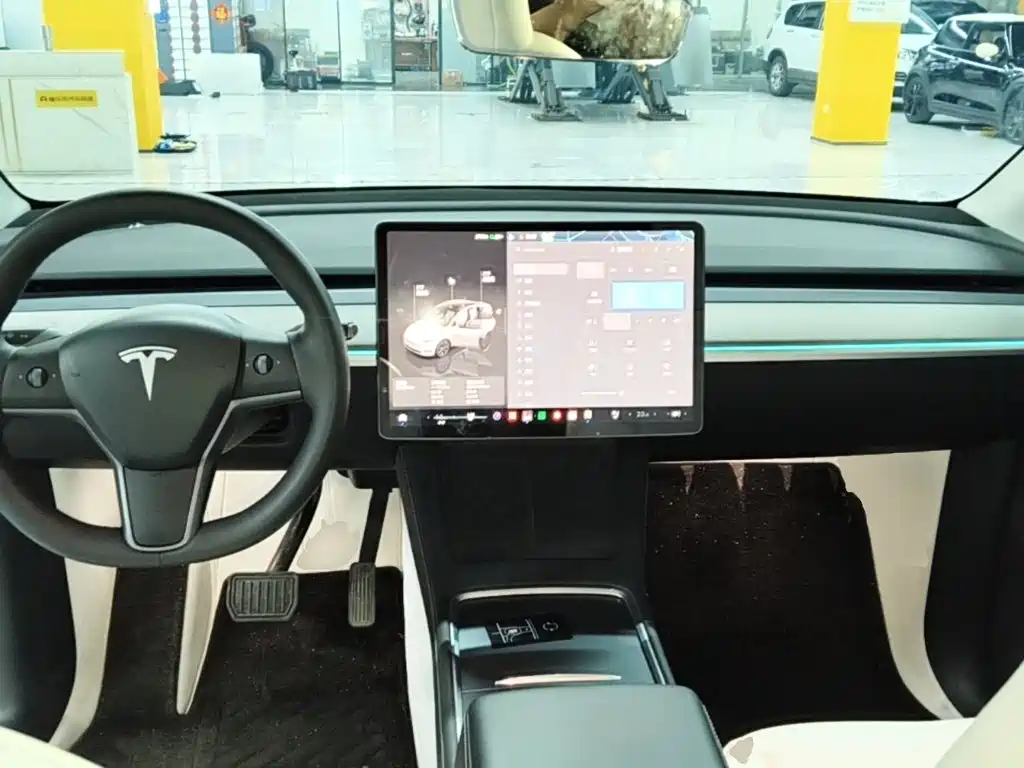 Tesla Model Y — миниатюра 10