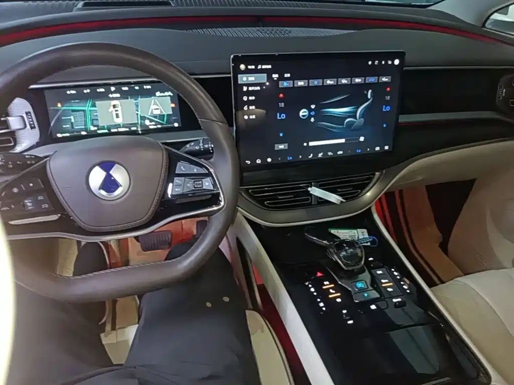 Denza Denza D9 — миниатюра 10