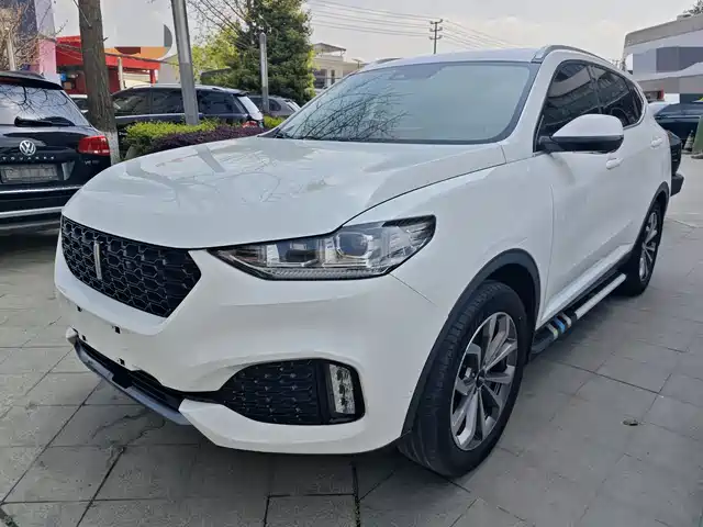 WEI PAI WEI BRAND VV6 2018