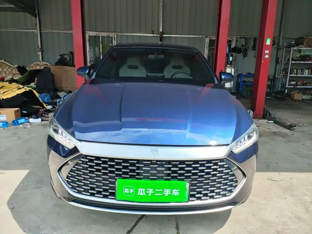 BYD Qin Plus PLUS 2024 DM-i 55KM Lead