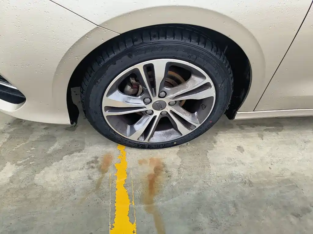 Geely Binrui — миниатюра 23