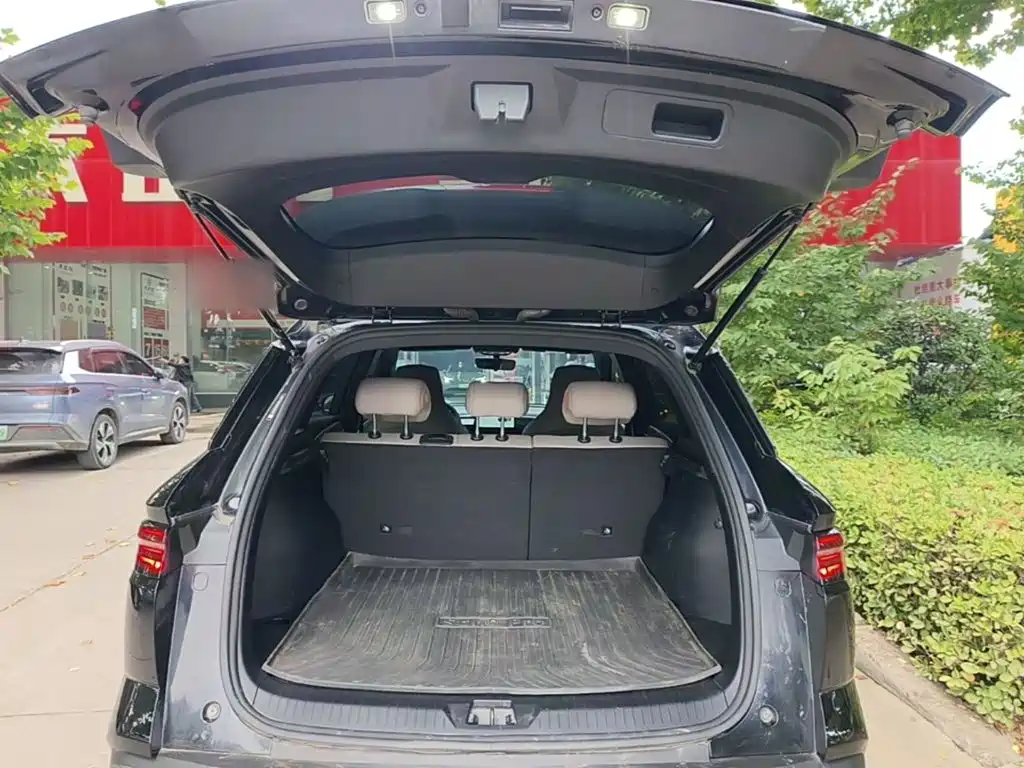 BYD Pro New Energy — миниатюра 19