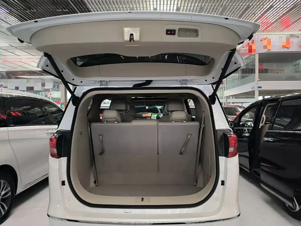 Buick GL8 — миниатюра 19