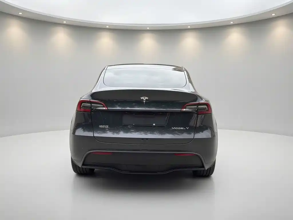 Tesla Model Y — миниатюра 7