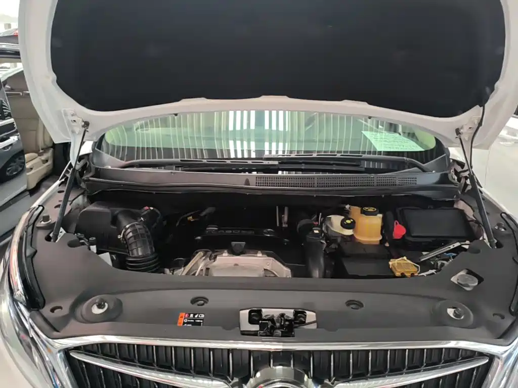 Buick GL8 — миниатюра 20