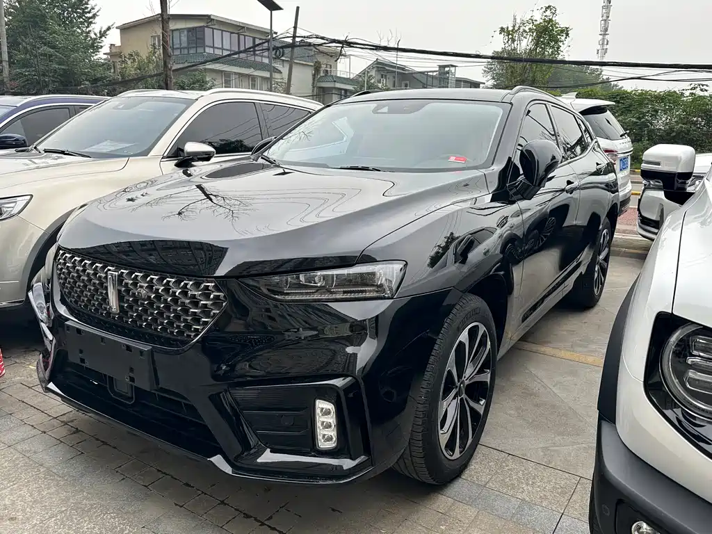 WEI PAI WEI BRAND VV7