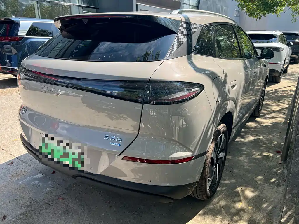 BYD Haisi 06 — миниатюра 7