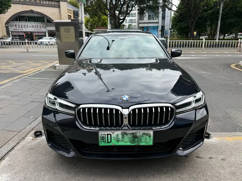 BMW 5 Series New Energy — миниатюра 2
