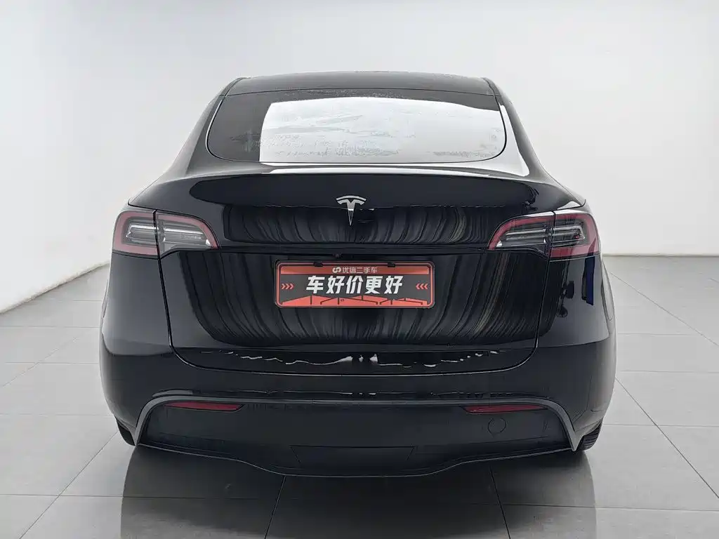 Tesla Model Y — миниатюра 4