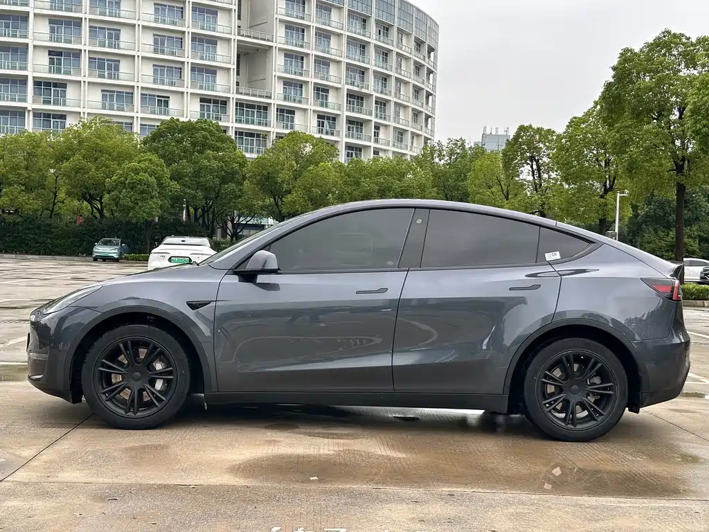 Tesla Model Y — миниатюра 3