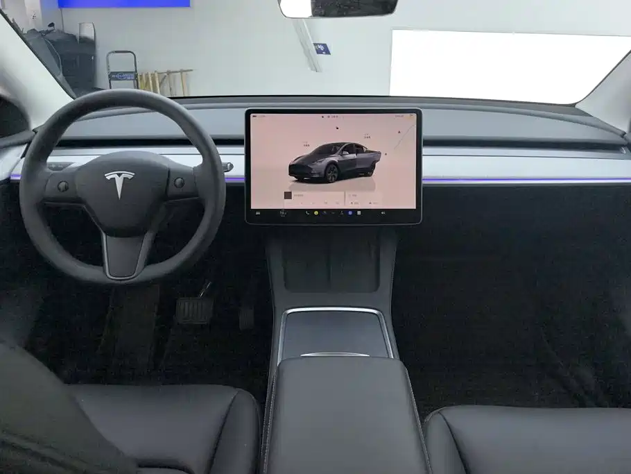 Tesla Model Y — миниатюра 12