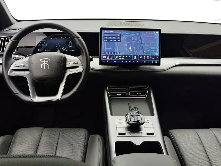 BYD Pro New Energy — миниатюра 12