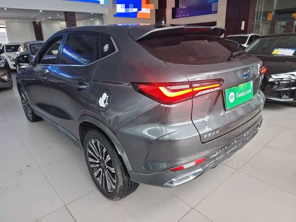 Oshan Oushang X5 — миниатюра 5
