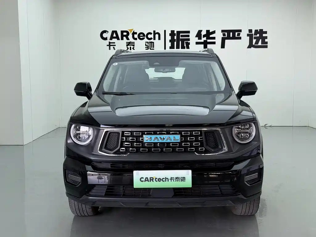 Haval Big Dog PLUS New Energy — миниатюра 2
