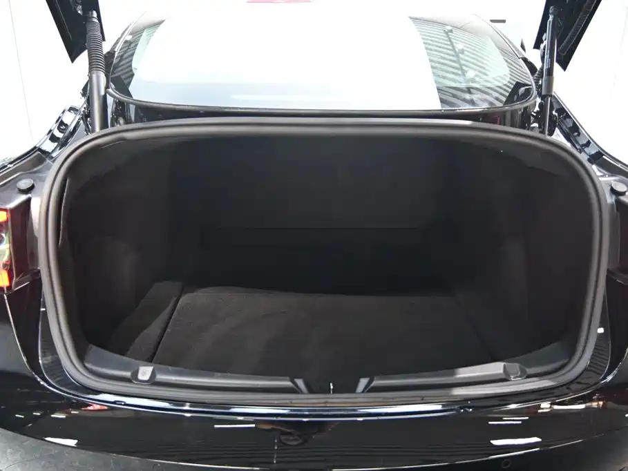Tesla Model 3 — миниатюра 19