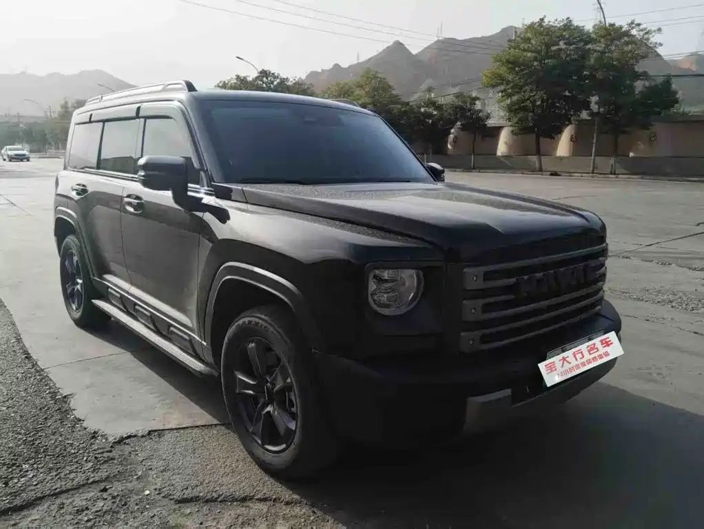 Haval Menglong New Energy — миниатюра 2