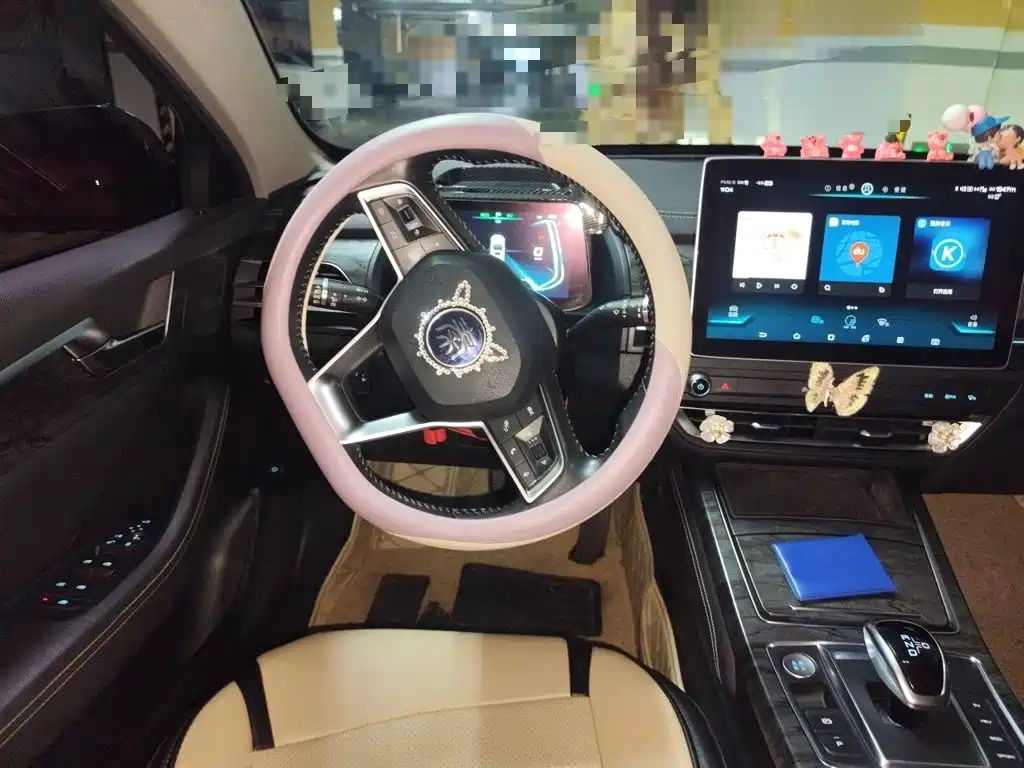 BYD Qin Pro NEV — миниатюра 6