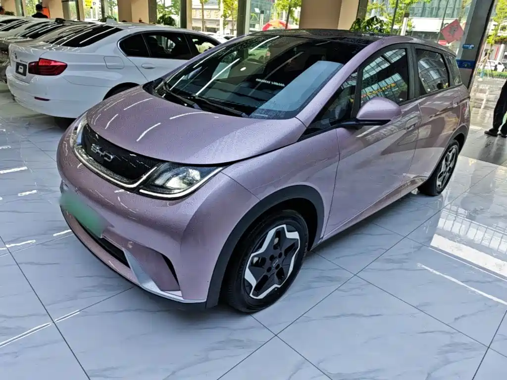 BYD Dolphin