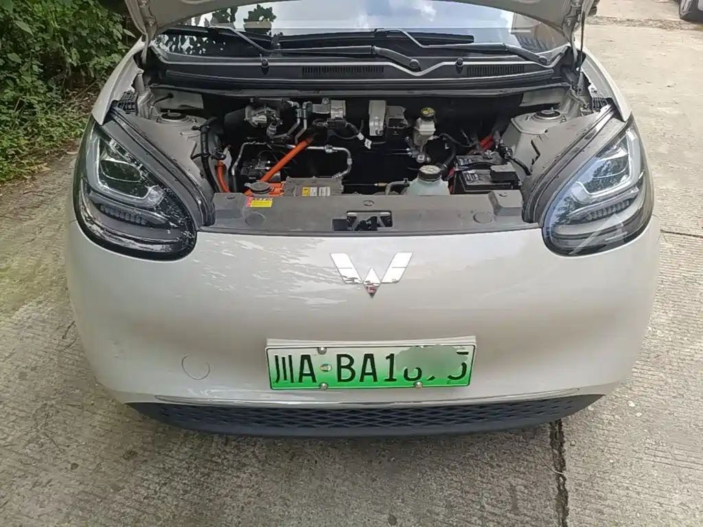 Wuling Bingo — миниатюра 25