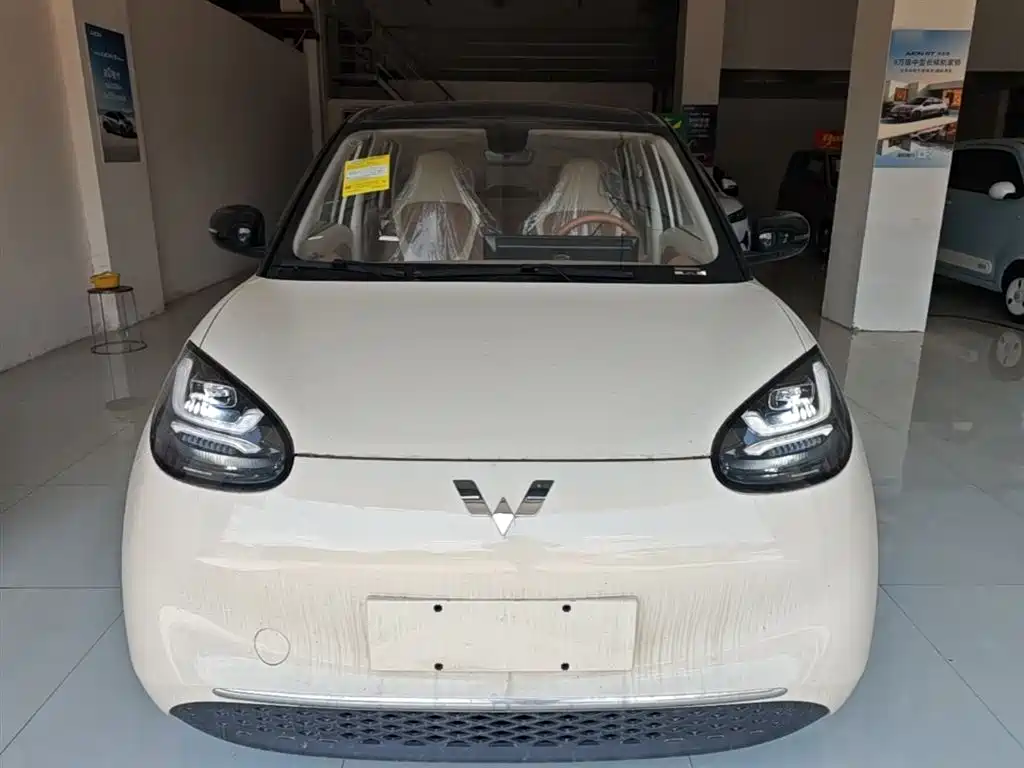 Wuling Binguo 2025 333km Enjoy