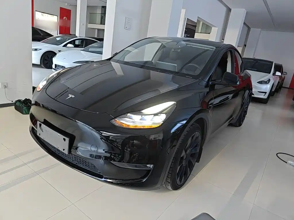 Tesla Model Y — миниатюра 2