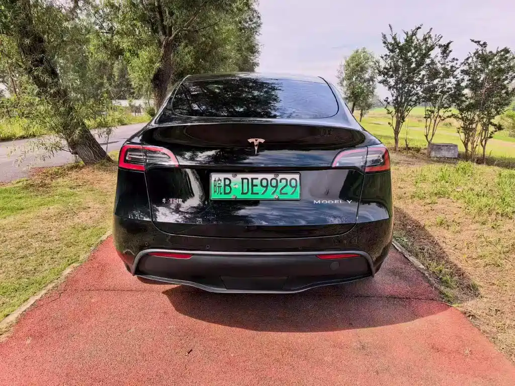 Tesla Model Y — миниатюра 8