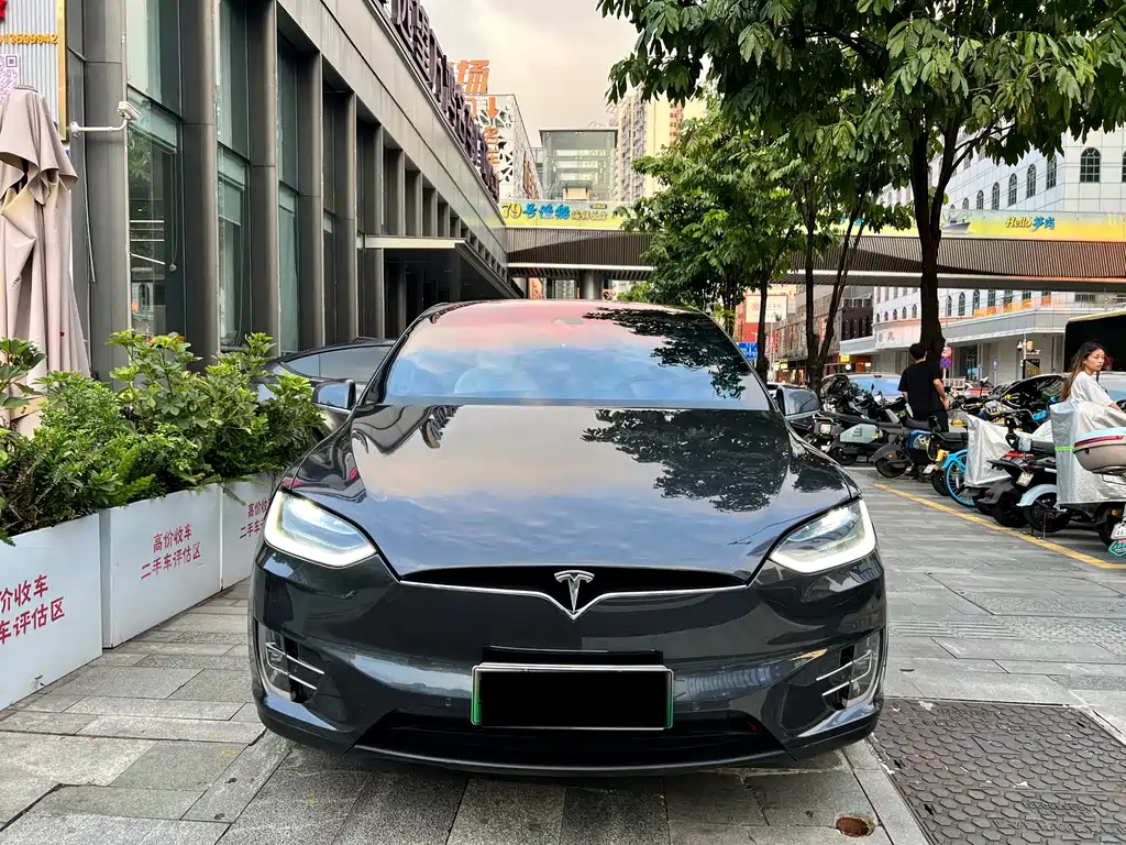 Tesla Model X — миниатюра 2