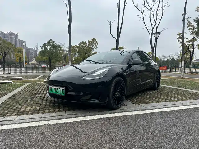 TESLA MODEL 3 2020