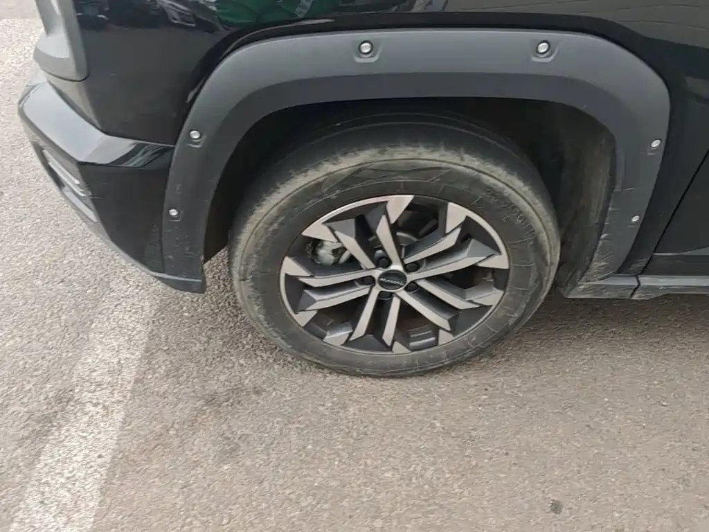 Haval Big Dog PLUS — миниатюра 23