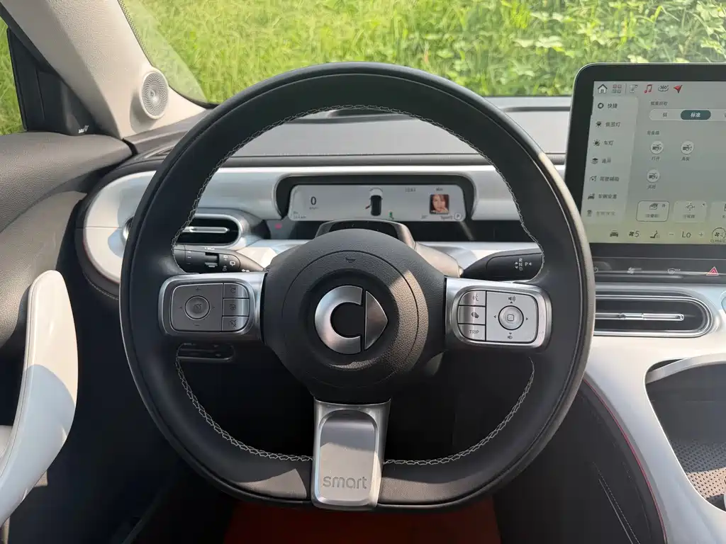 smart Smart #1 — миниатюра 12