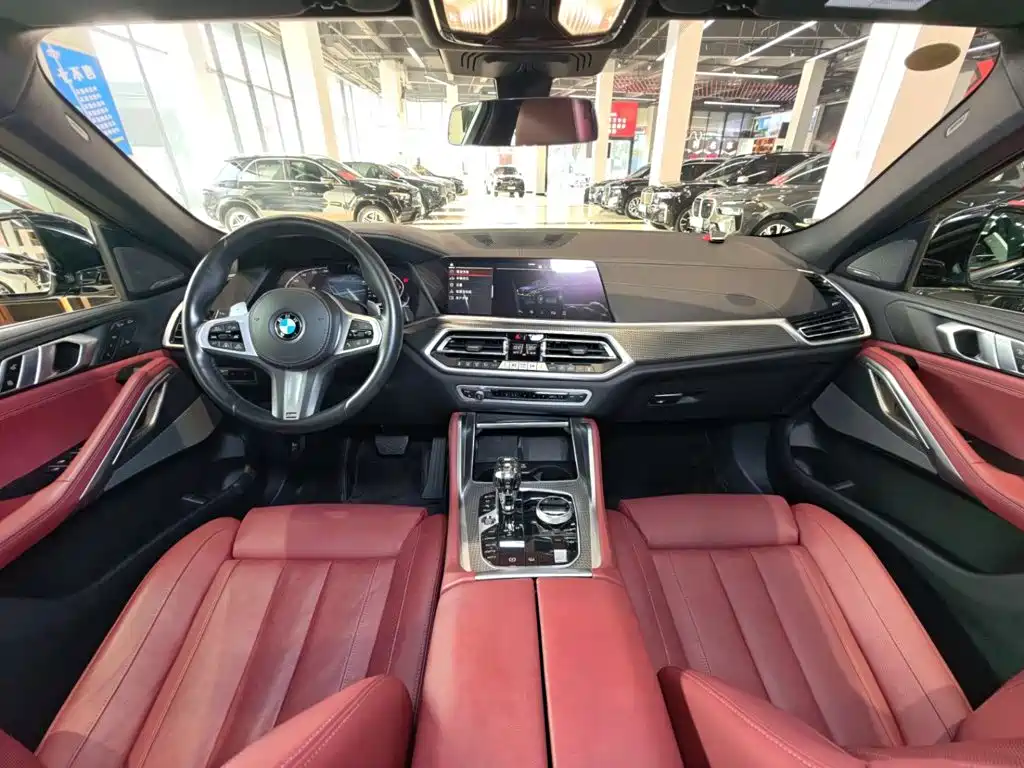 BMW X6 — миниатюра 34