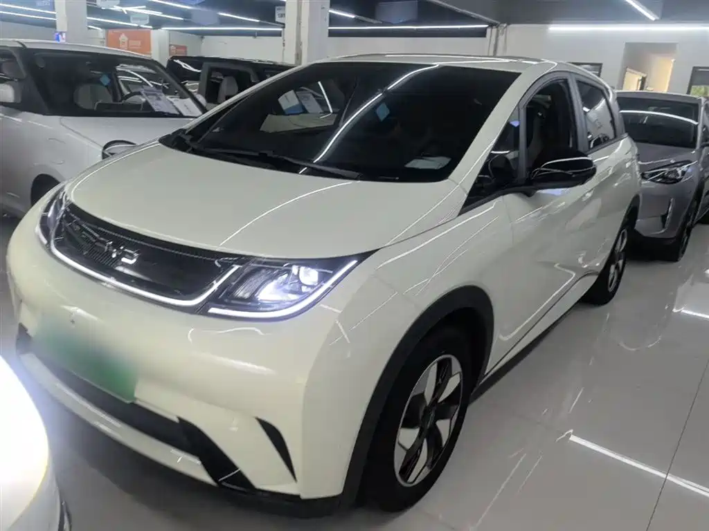 Byd Dolphin 2026