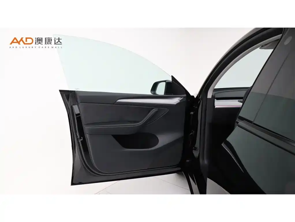 Tesla Model Y — миниатюра 10