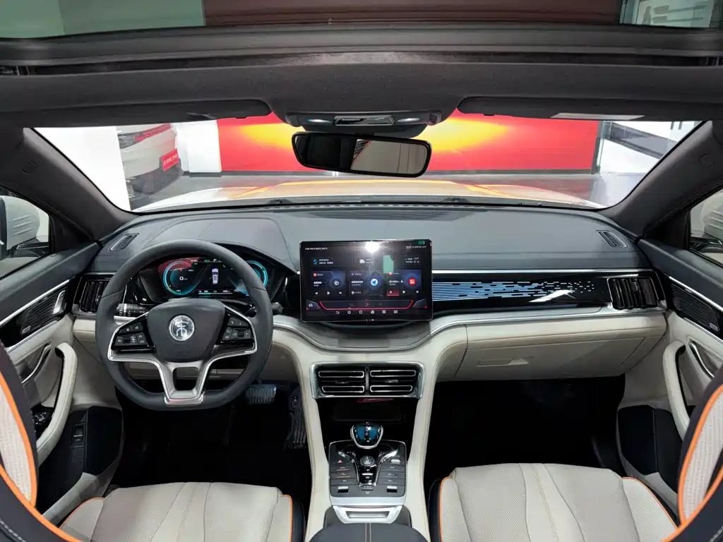 BYD PLUS New Energy — миниатюра 20